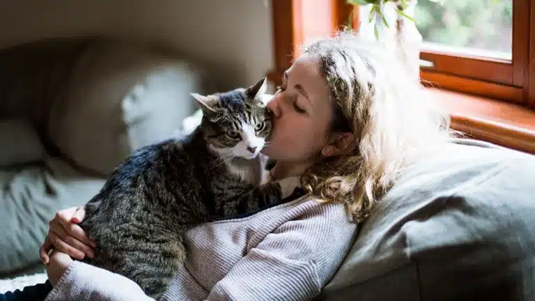 Why Is My Cat So Affectionate at Night? – 10 Possible Reasons & Solutions