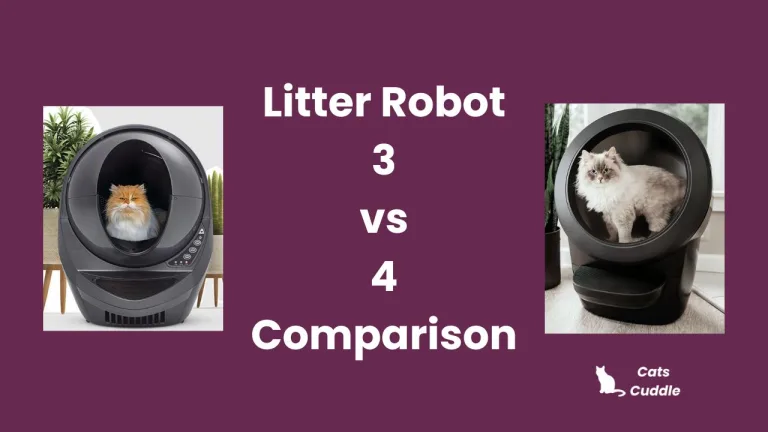 Litter Robot 3 vs 4 Comparison 2024: Which One Should be Good for You?