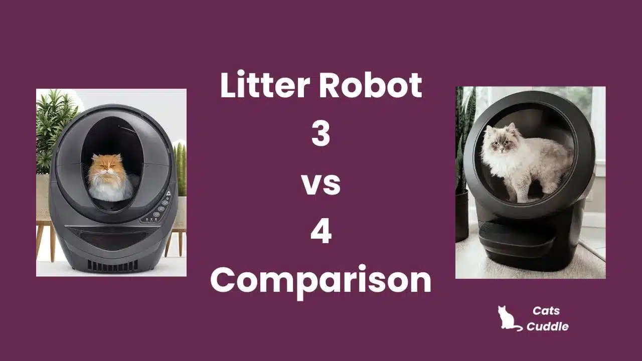 Litter Robot 3 vs 4