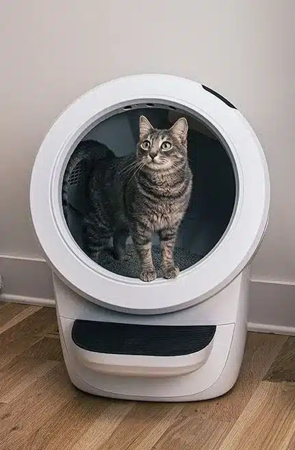 Litter Robot 3 vs 4